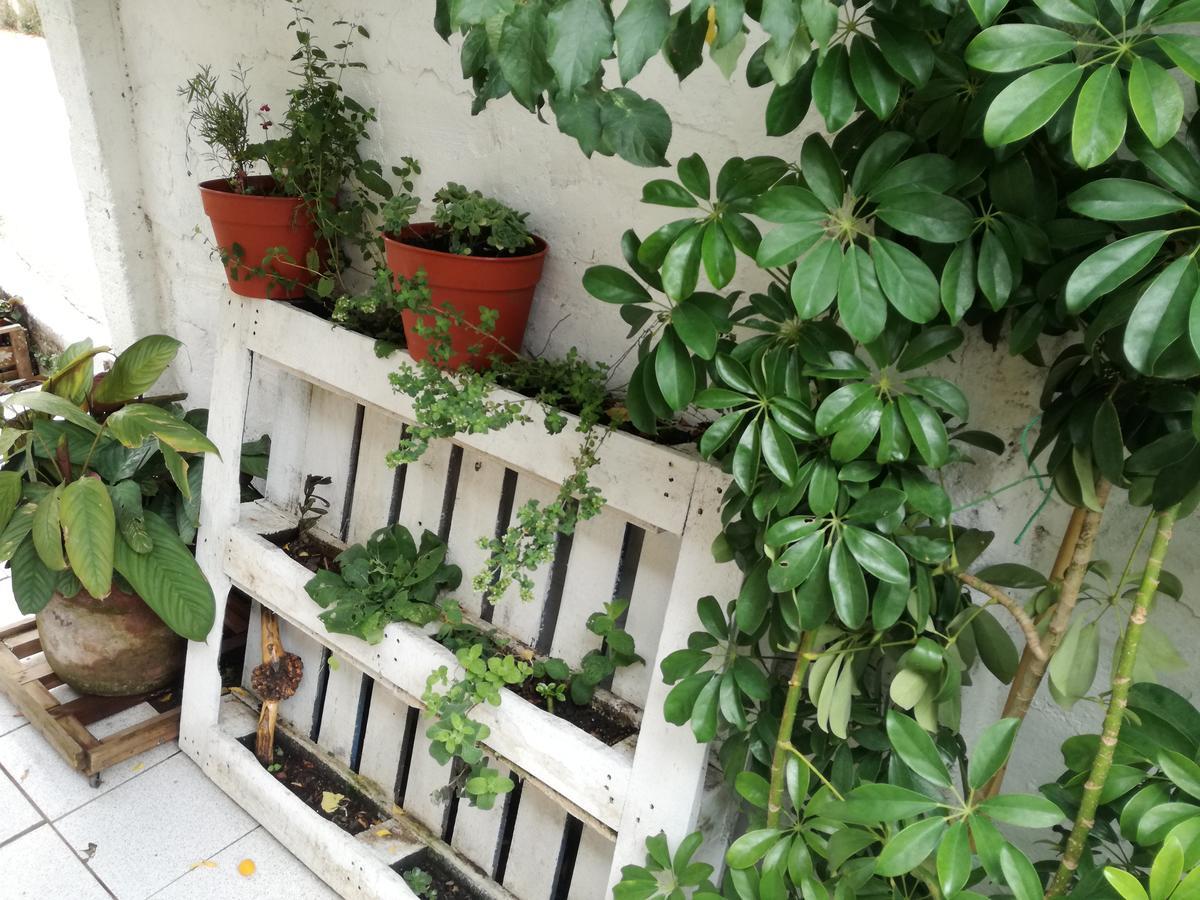 Hostal Mi Paz Valparaiso Ngoại thất bức ảnh